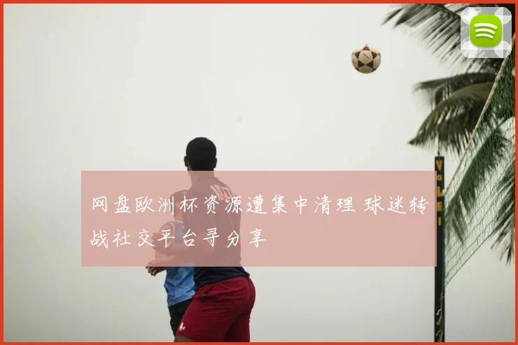 网盘欧洲杯资源遭集中清理 球迷转战社交平台寻分享