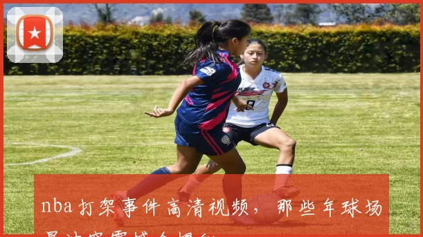 nba打架事件高清视频,那些年球场暴冲突震撼全揭秘