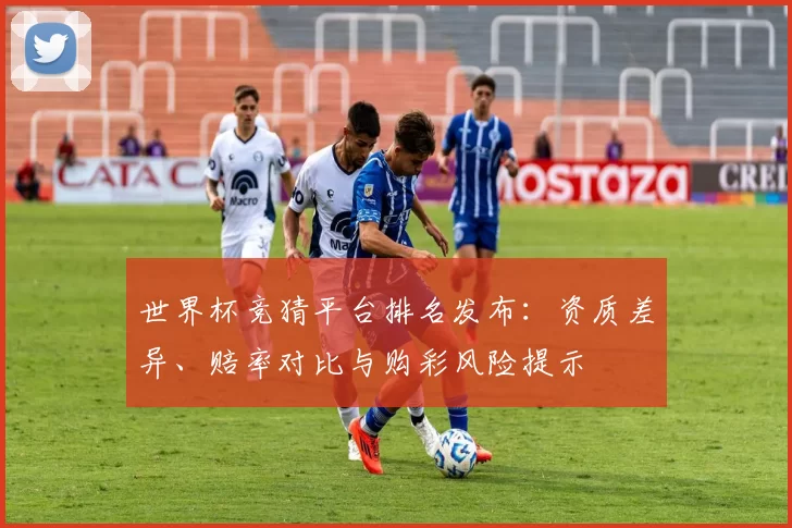 世界杯竞猜平台排名发布:资质差异、赔率对比与购彩风险提示