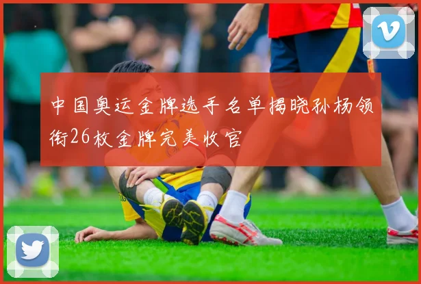 中国奥运金牌选手名单揭晓孙杨领衔26枚金牌完美收官