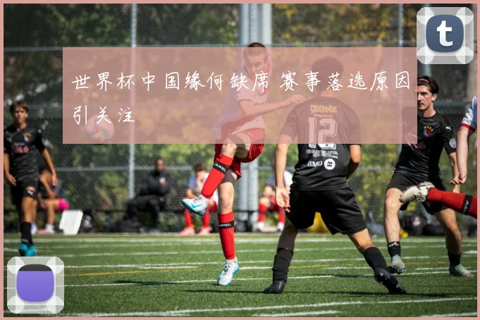 世界杯中国缘何缺席 赛事落选原因引关注